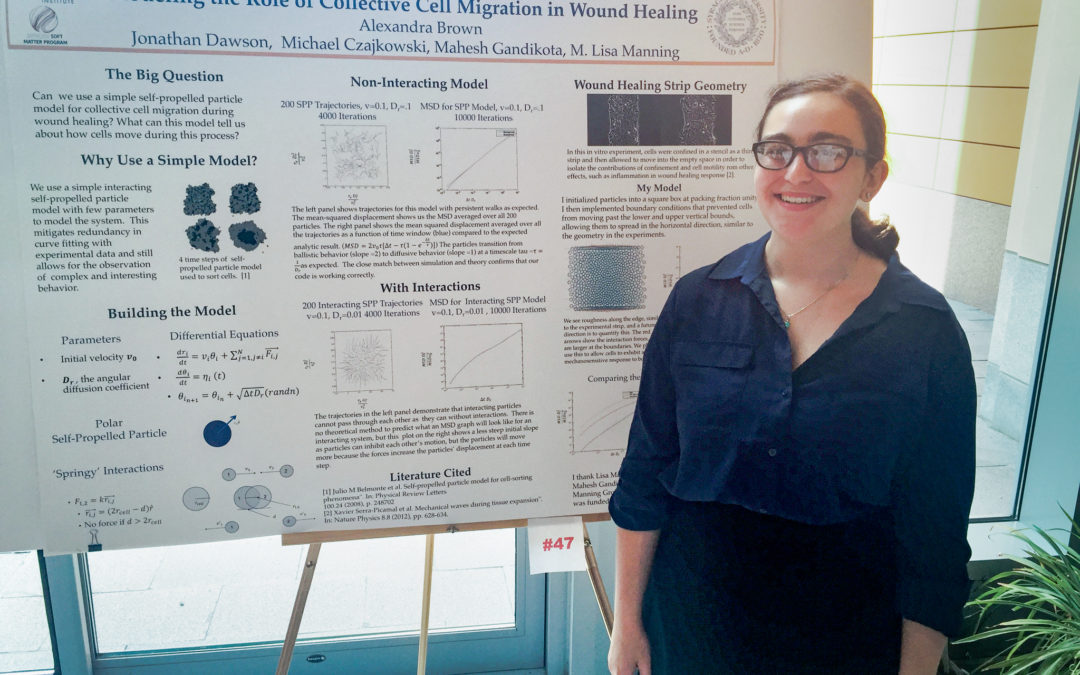 Research Experiences for Undergraduates (REU) Program